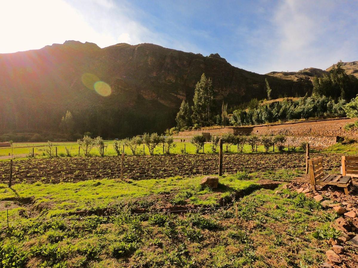 Hatha Art Yoga Pisac Εξωτερικό φωτογραφία